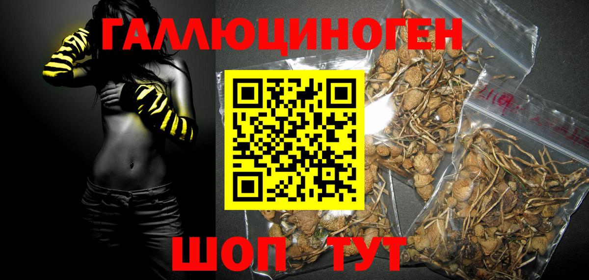 Гашиш Люберцы
