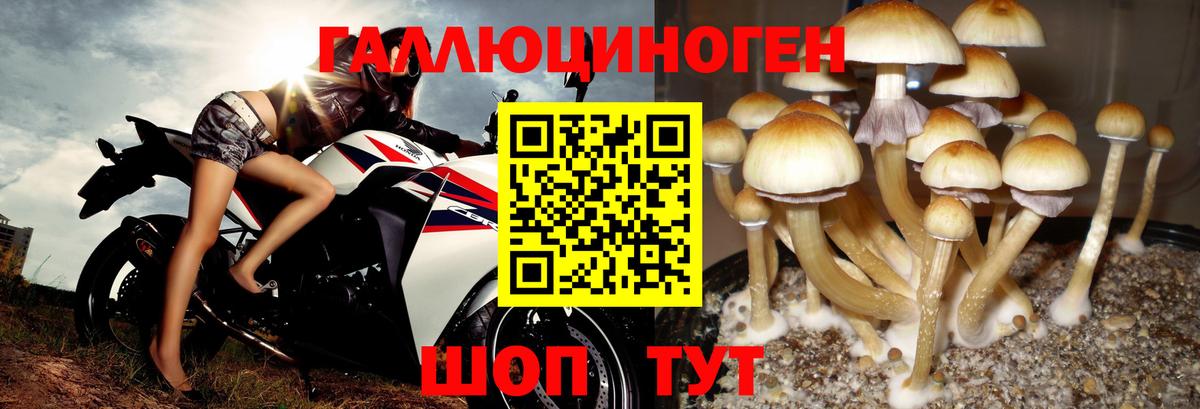 Псилоцибиновые грибы ЛСД Люберцы